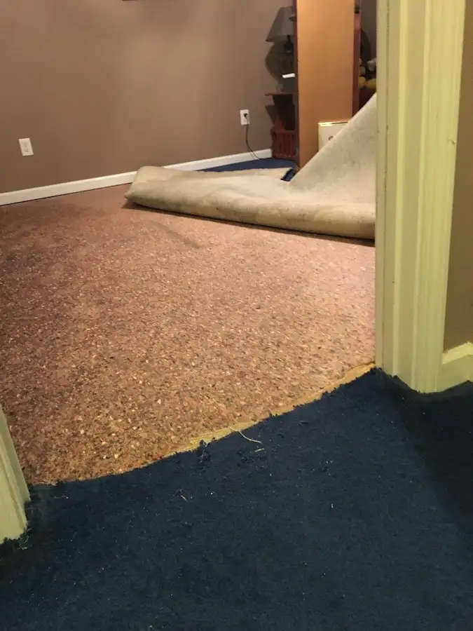 Carpet pad removal revealing water damage during Water Mitigation Services in Wilmington